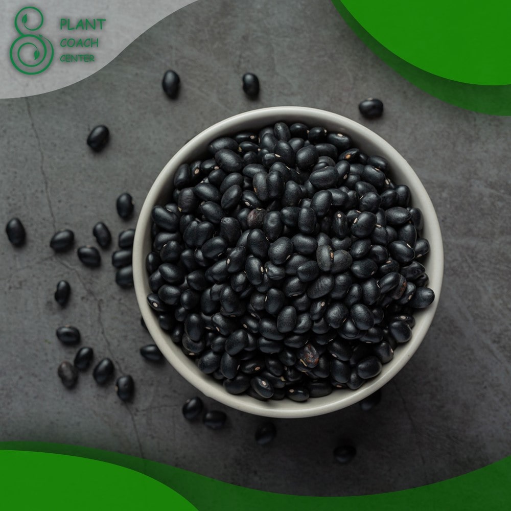 How Do Black Beans Grow?