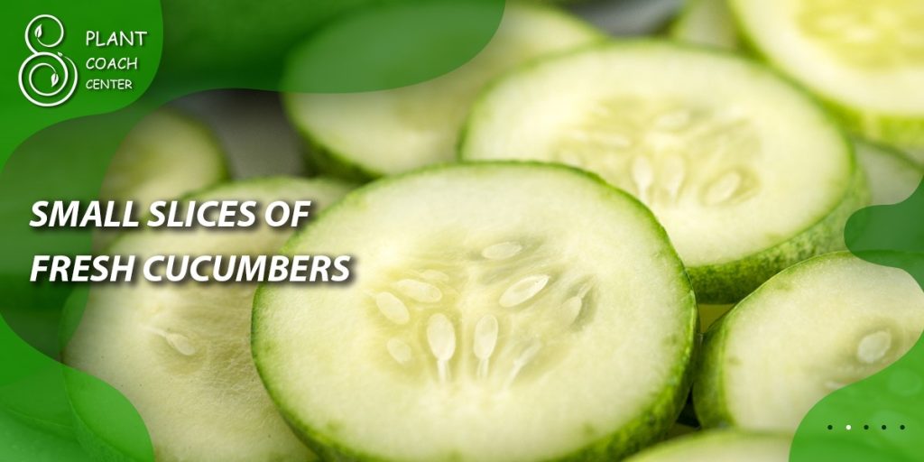 Small Slices of Fresh Cucumbers