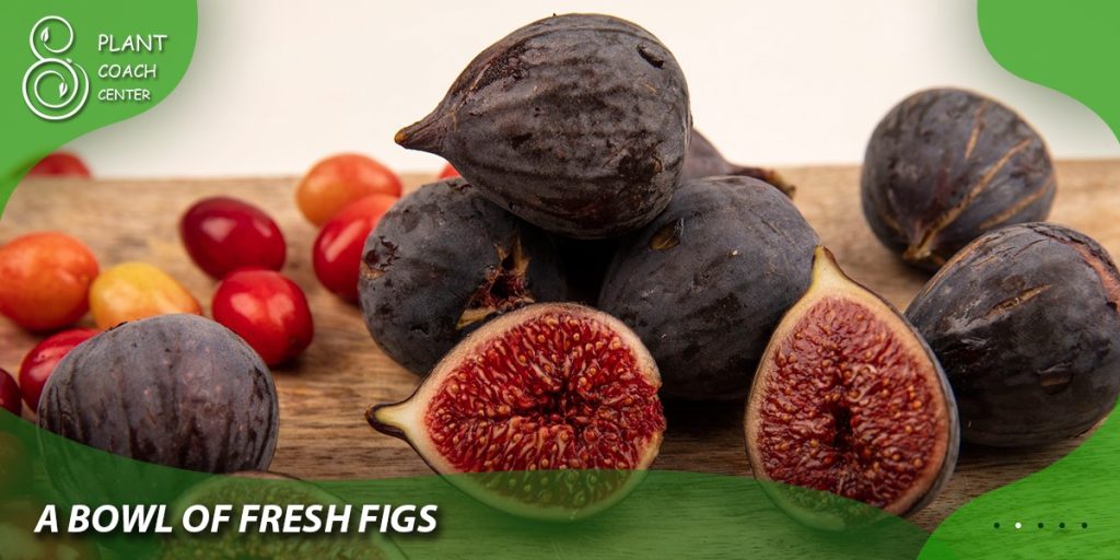 A Bowl of Fresh Figs