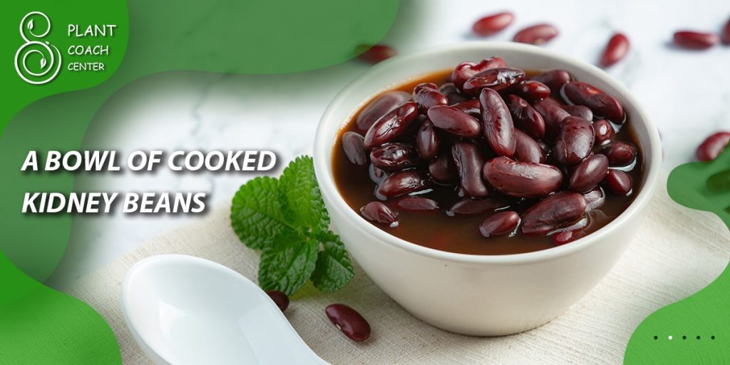 A Bowl of Cooked Kidney Beans