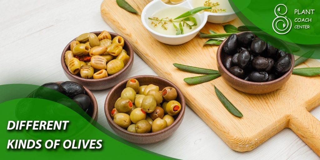 Different Kinds of Olives