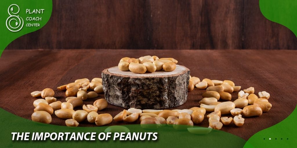 The Importance of Peanuts