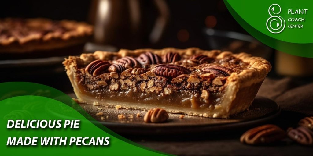 Delicious Pie Made With Pecans