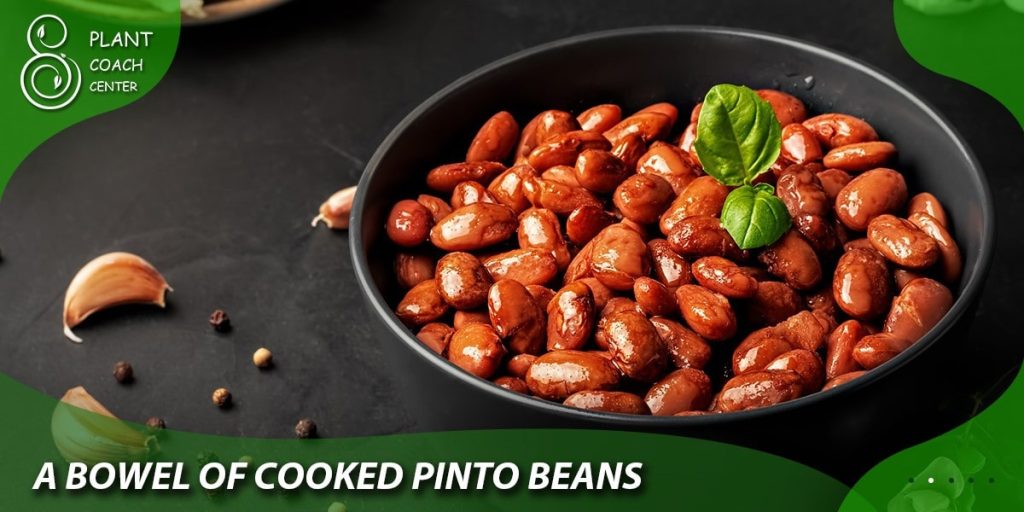 A Bowl of Cooked Pinto Beans