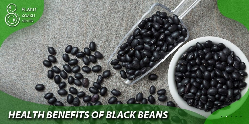 Health benefits of black beans