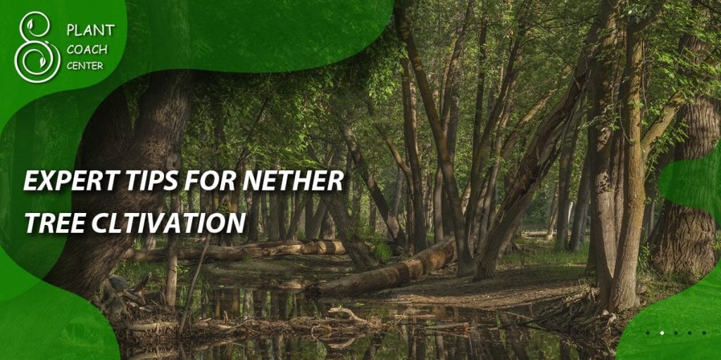 Expert tips for Nether tree cultivation