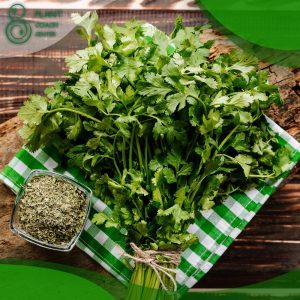 How to Grow Parsley from Cuttings