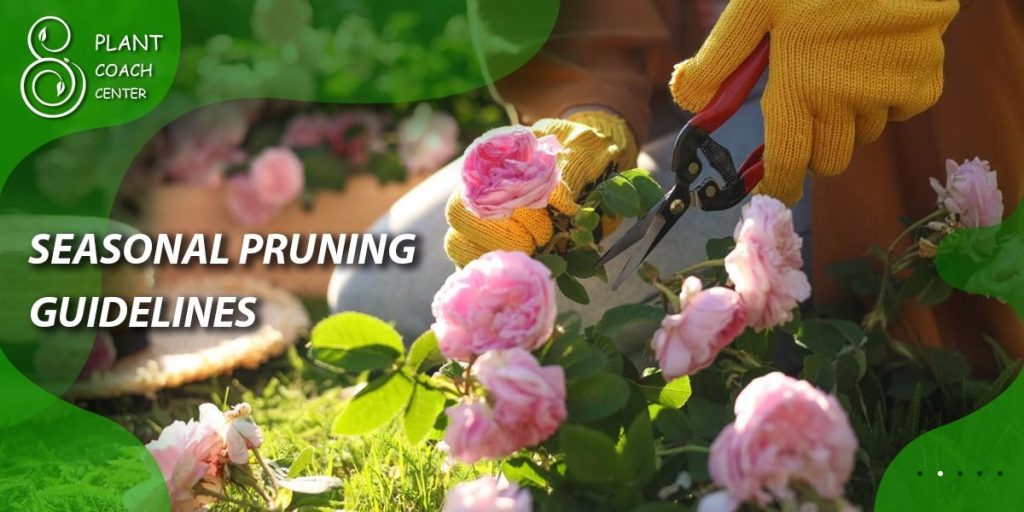Seasonal Pruning Guidelines