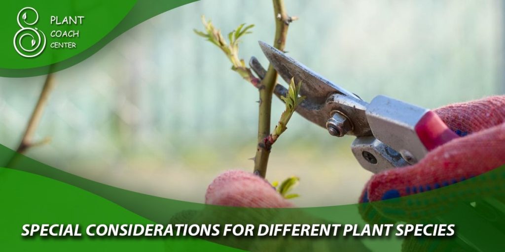 Special Considerations for Different Plant Species