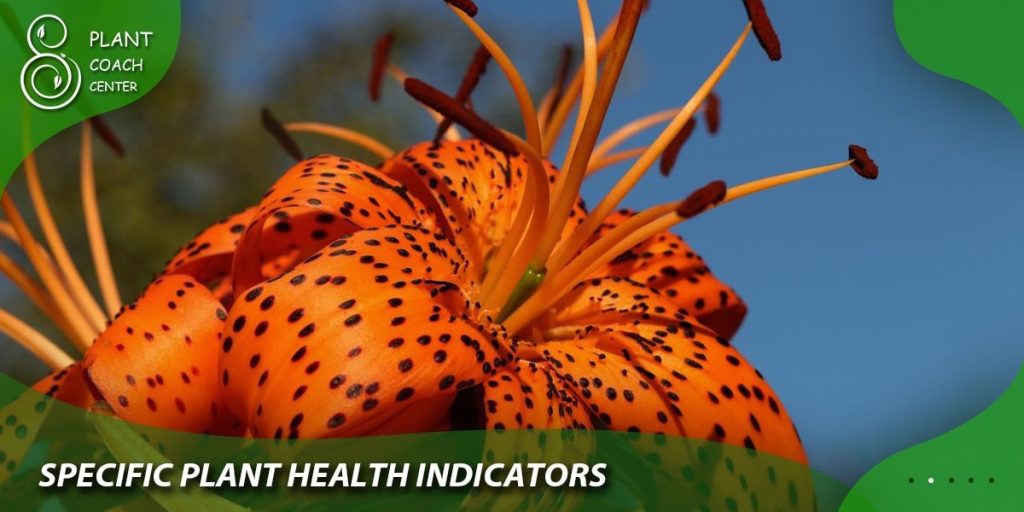 Specific Plant Health Indicators