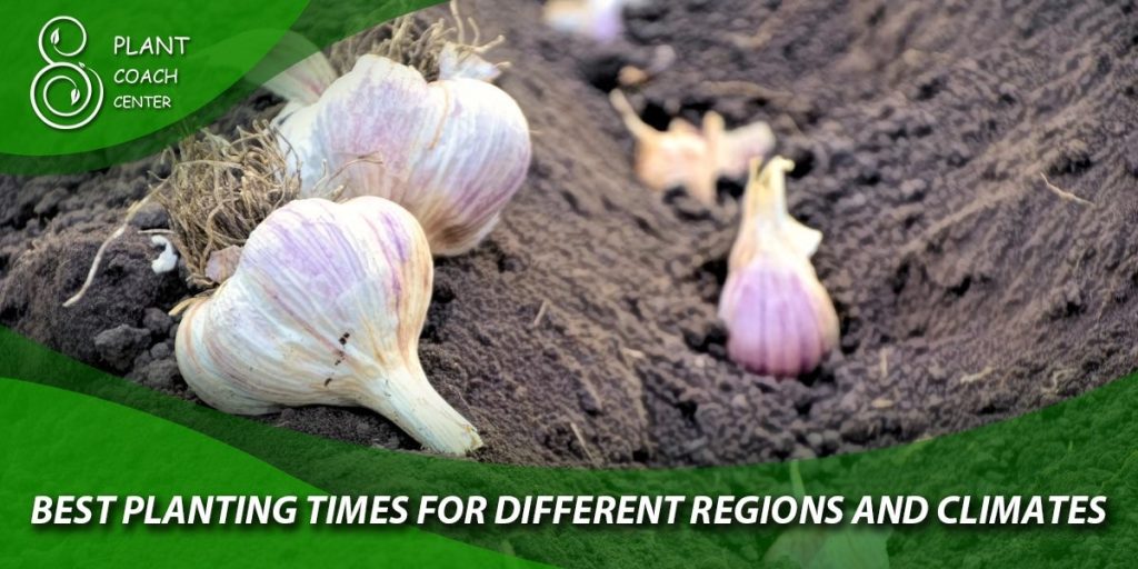Best Planting Times for Different Regions and Climates
