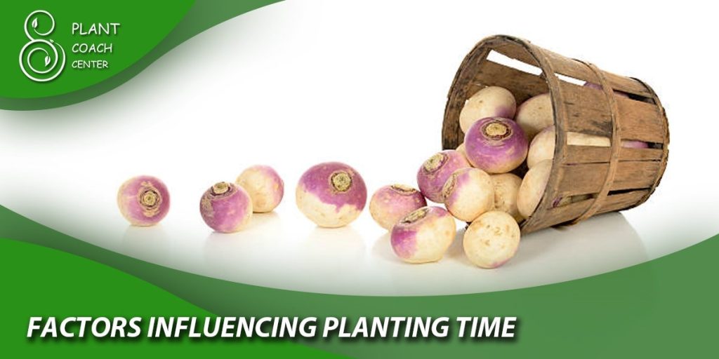 Factors Influencing Planting Time: