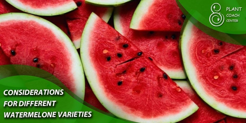 Considerations for Different Watermelon Varieties
