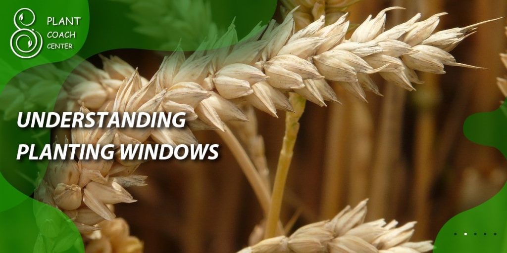 Understanding Planting Windows: