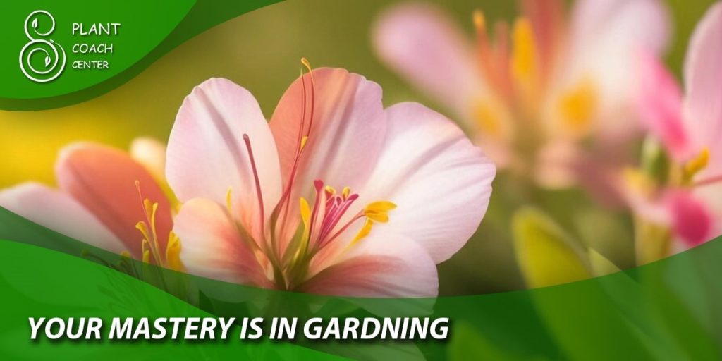 Your mastery is in gardning