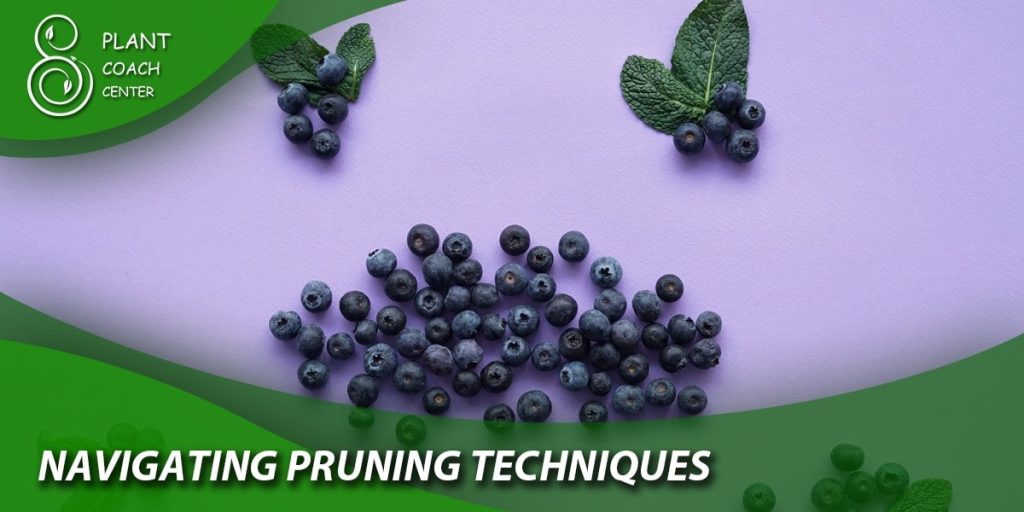 Navigating Pruning Techniques
