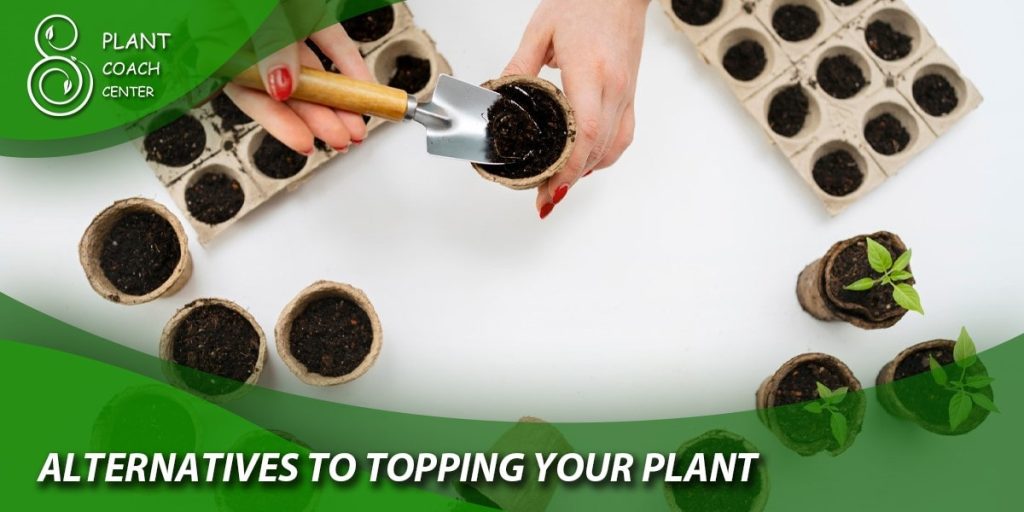 Alternatives to Topping Your Plant