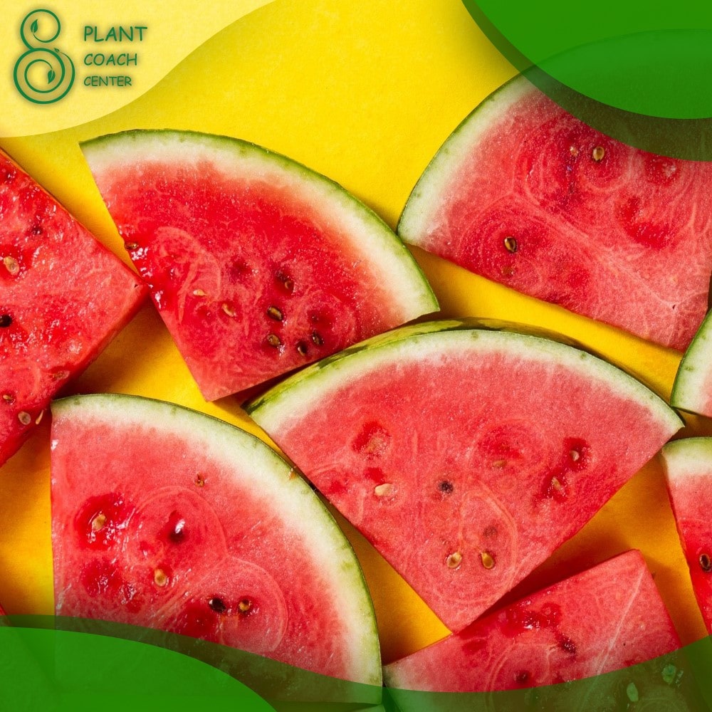 When Should You Plant Watermelon Seeds