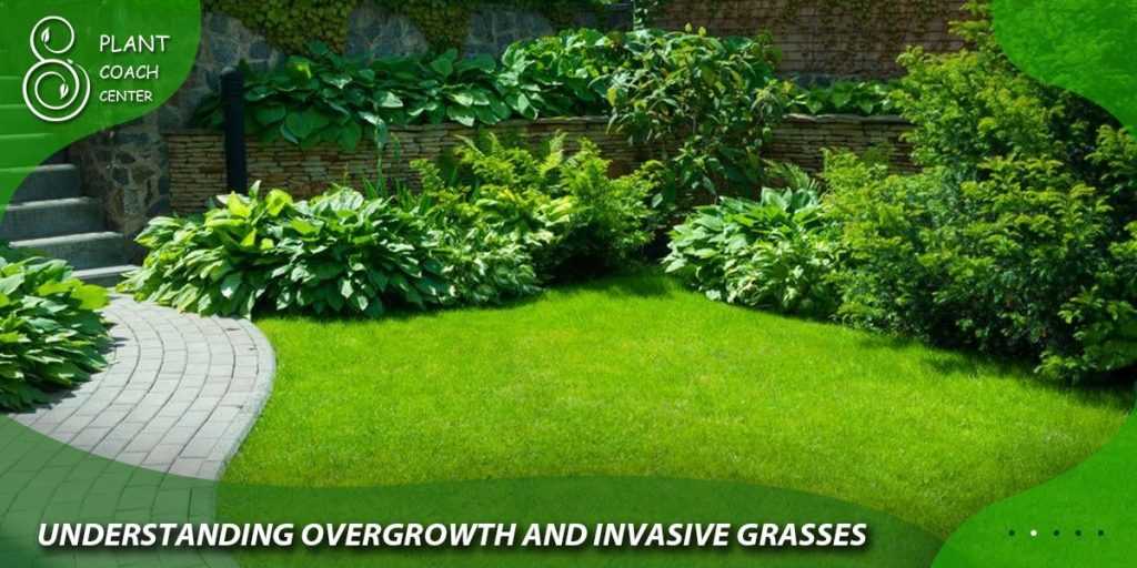 Understanding Overgrowth and Invasive Grasses