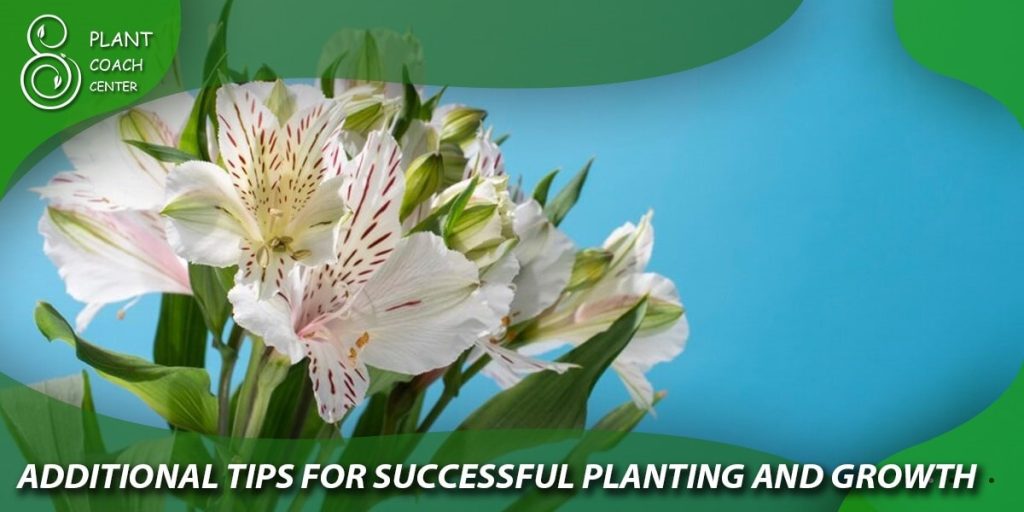 Additional Tips for Successful Planting and Growth