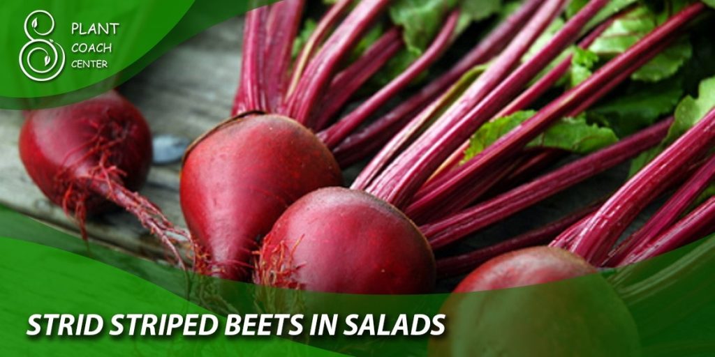 Striped Beets in Salads