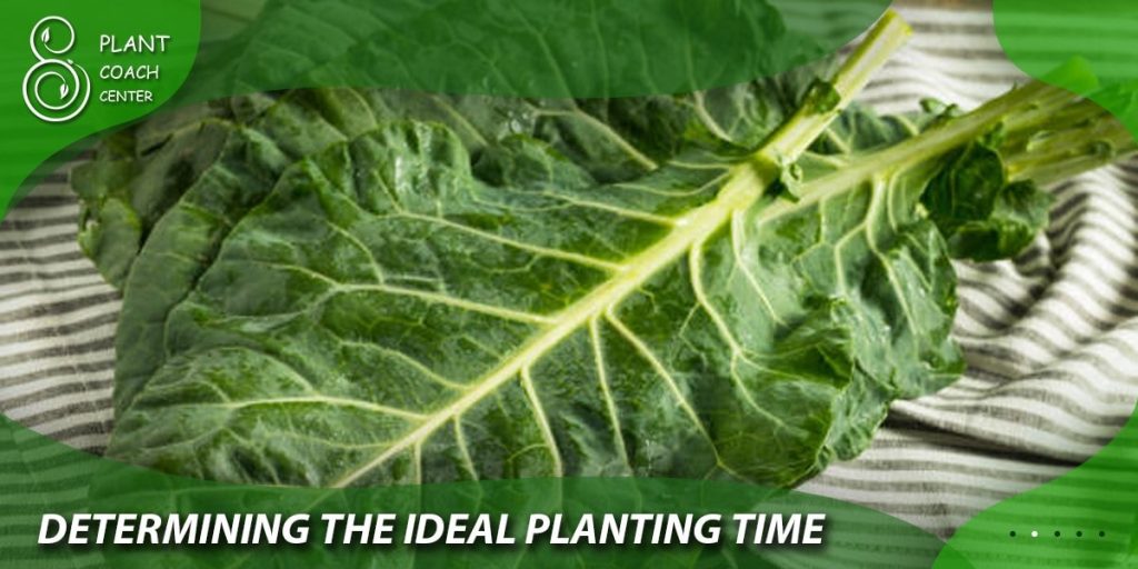 Determining the Ideal Planting Time