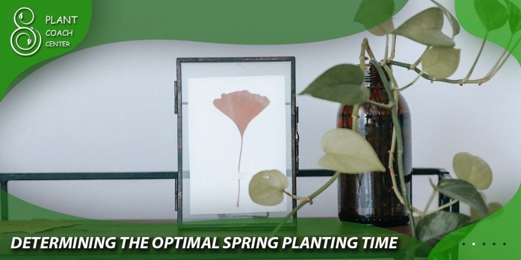 Determining the Optimal Spring Planting Time