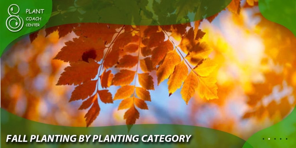 Fall Planting by Plant Category