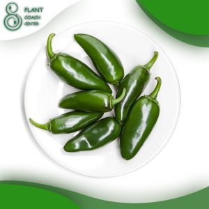 When to Plant Jalapenos in Texas