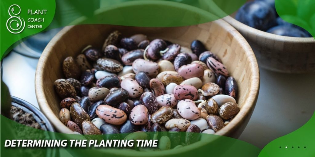 Determining the Planting Time