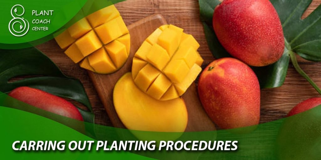 caring out planting procedures