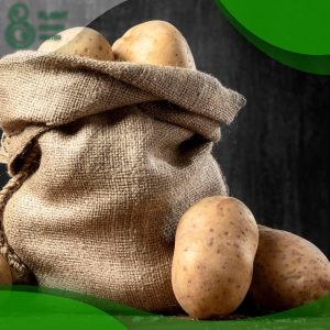 When to Plant Maris Piper Potatoes