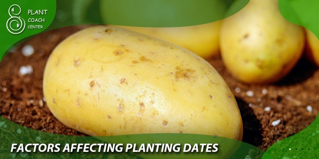 Factors Affecting Planting Dates