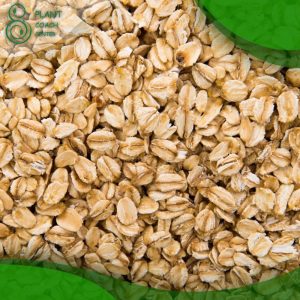 When to Plant Oats