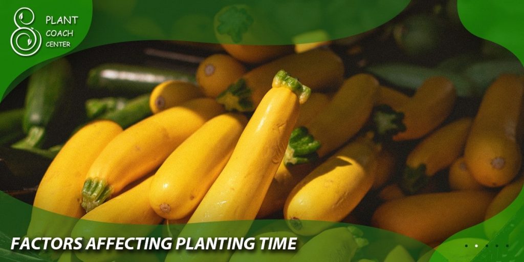 Factors Affecting Planting Time