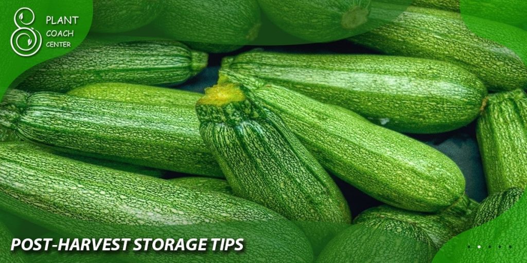 Post-harvest storage tips
