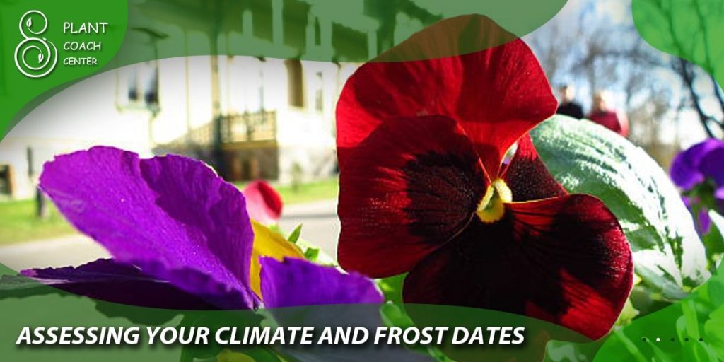 Assessing Your Climate and Frost Dates