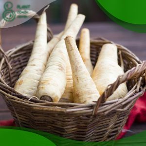 When to Plant Parsnips for Christmas