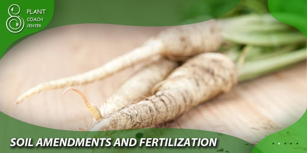 Soil Amendments and Fertilization