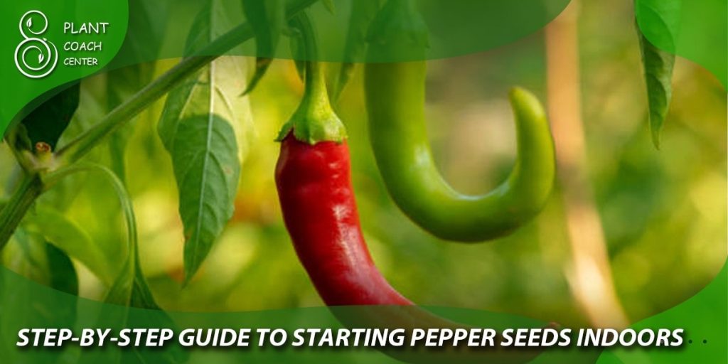 Step-by-Step Guide to Starting Pepper Seeds Indoors