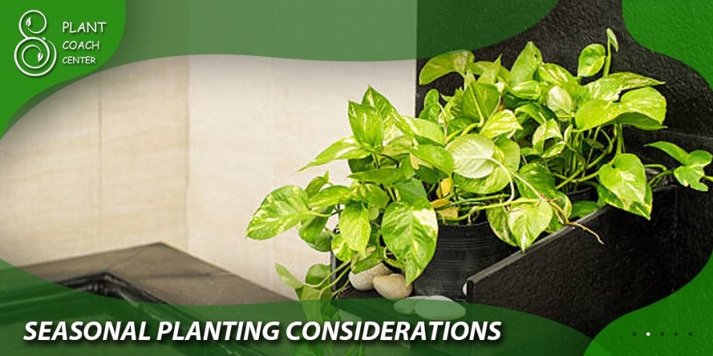 Seasonal Planting Considerations