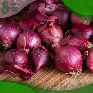 When to Plant Red Onions