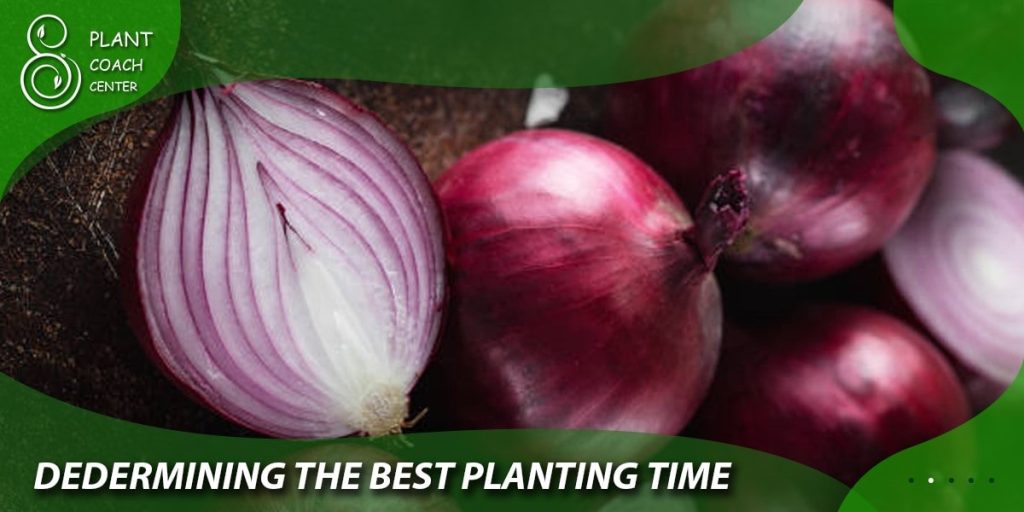 Determining the Best Planting Time