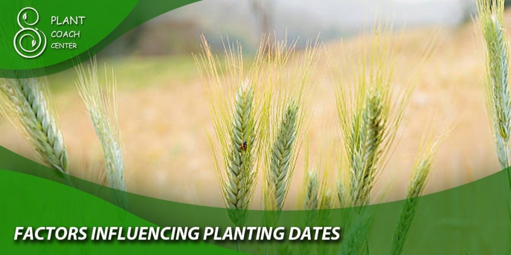  Factors Influencing Planting Dates