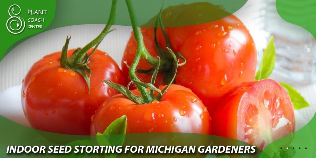 Indoor Seed Starting for Michigan Gardeners
