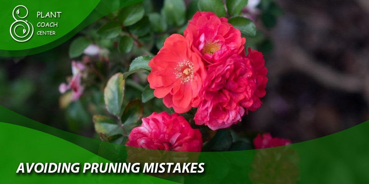 Avoiding Pruning Mistakes