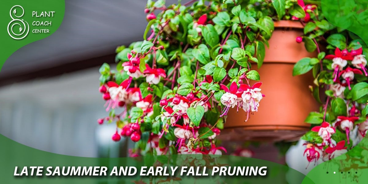 Late Summer and Early Fall Pruning