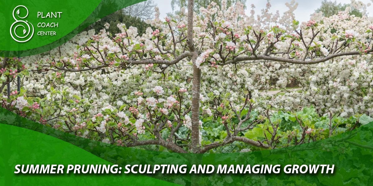 Summer Pruning: Sculpting and Managing Growth