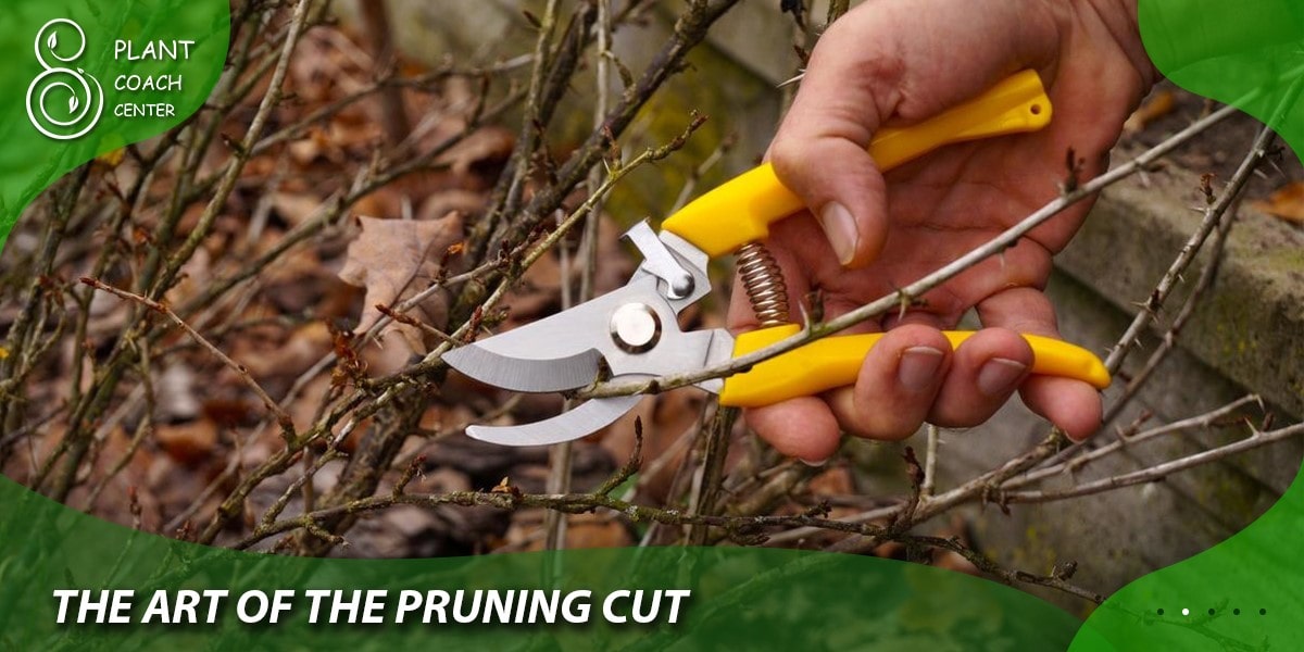 The Art of the Pruning Cut