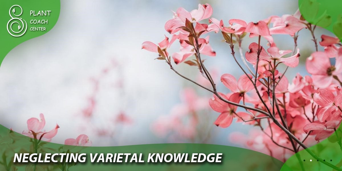 neglecting varietal knowledge